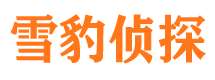 丰泽侦探调查公司